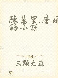 陈万里,唐嫣然的小说