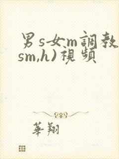 男s女m调教(sm,h)视频