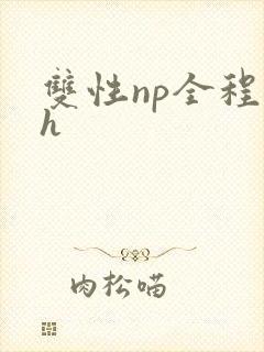 双性np全程高h