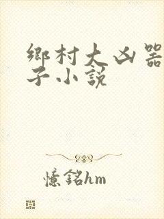 乡村大凶器龙傻子小说