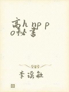 高h np po秘书