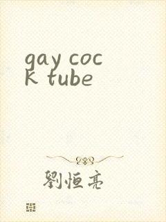 gay cock tube