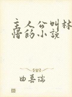 主人公叫林凡叶惜的小说封面
