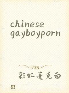 chinesegayboyporn
