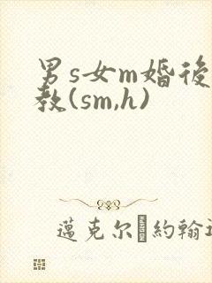男s女m婚后调教(sm,h)