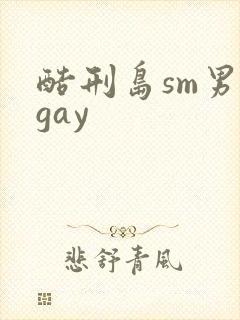 酷刑岛sm男男gay封面