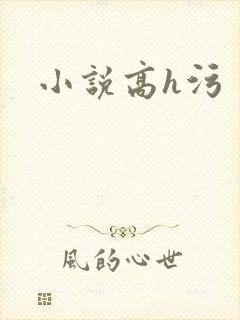 小说高h污封面