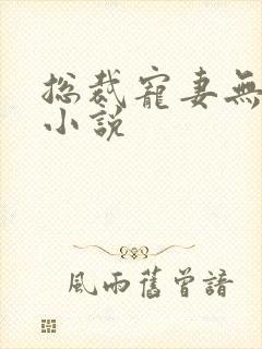 总裁宠妻无度的小说封面