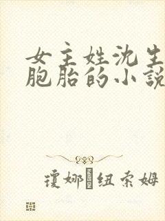女主姓沈生了三胞胎的小说