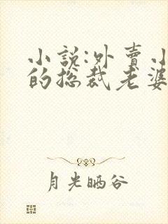 小说:外卖小哥的总裁老婆