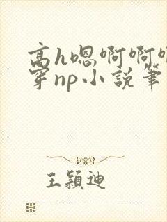 高h嗯啊啊啊快穿np小说笔趣阁