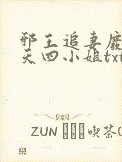 邪王追妻废材逆天四小姐txt