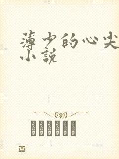 薄少的心尖宠儿小说