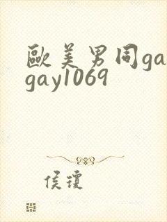 欧美男同gaygay1069