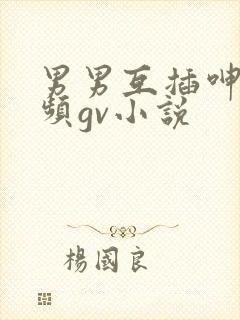 男男互插呻吟视频gv小说