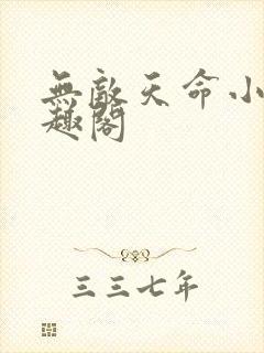 无敌天命小说笔趣阁