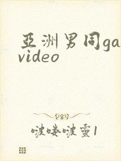 亚洲男同gayvideo封面
