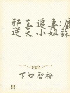 邪王追妻:废材逆天小姐苏落南宫流云