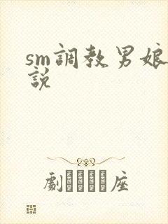 sm调教男娘小说封面