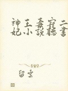 神王毒宠二嫁王妃小说听书