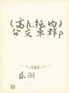 (高h,纯肉)公交车群p