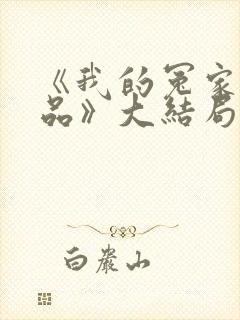 《我的冤家是极品》大结局