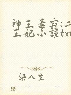 神王毒宠:二嫁王妃小说txt