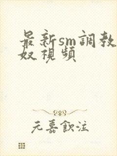 最新sm调教男奴视频封面