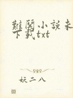 难哄小说未删版下载txt