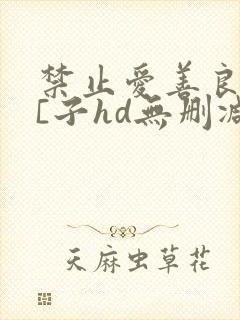 禁止爱善良的小[子hd无删减播放