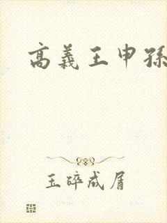 高义王申孙倩