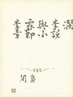 李霖与李澜最新章节小说