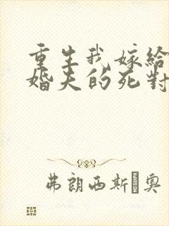 重生我嫁给了未婚夫的死对头封面