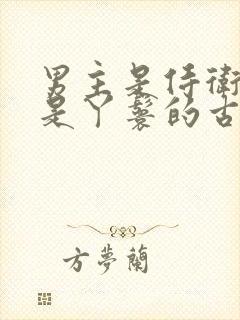 男主是侍卫女主是丫鬟的古言封面