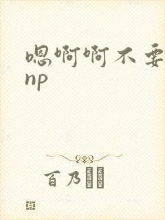 嗯啊啊不要高hnp