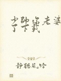 少帅你老婆又跑了下载封面