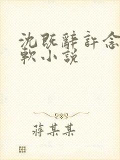 沈既辞许念念温软小说