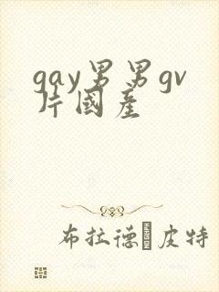 gay男男gv片国产