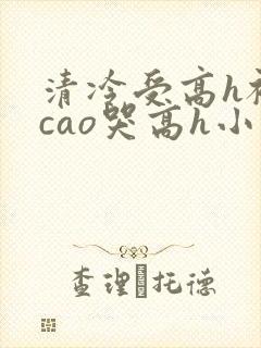 清冷受高h被强cao哭高h小说封面