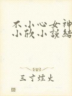 不小心女神女友小欣小说结局封面