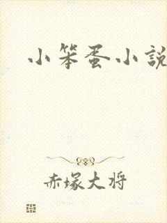 小笨蛋小说封面