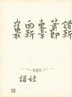 崔向东萧错小说最新章节新笔趣阁
