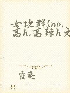 女攻群(np,高h,高辣h文)