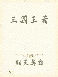 三国王者封面