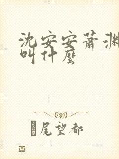 沈安安萧渊短剧叫什么