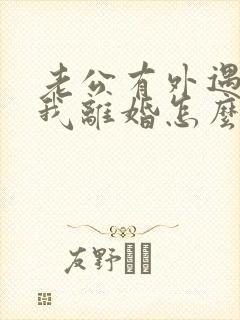 老公有外遇要跟我离婚怎么办