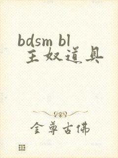 bdsm bl 主奴道具