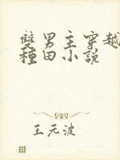 双男主穿越古代种田小说