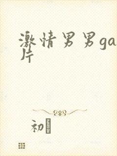 激情男男gay片