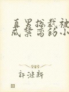 直男总裁被调教成禁脔的小说